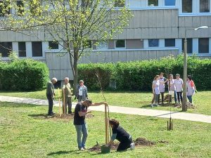 A fákat a megyeszékhely két szervezete, az A'só ucca-Csatár-Bakta Civil Egyesület és a Szőlő-Szem Mozgalom, valamint a Pécsi Egyházmegye Kórházlelkészségének szekszárdi önkéntesei ültették